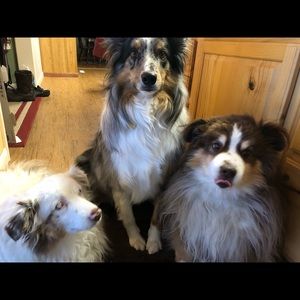 Meet your Posher, Katrina